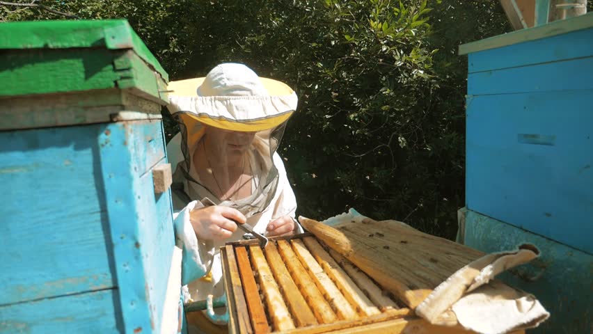 the beekeeper working in the apiary bees fly swarm multi colored beehive lifestyle slow motion video. bee-maker beekeeper man working of a smoke pipe beeper wooden hives smoker device for repelling
