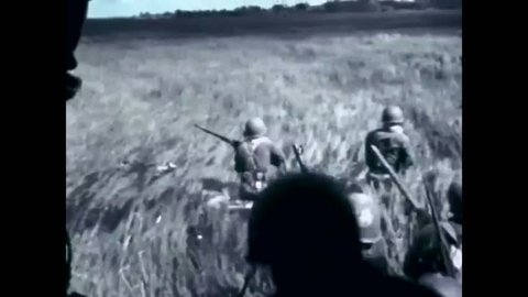 CIRCA 1963 - Helicopters drop Vietnamese troops in swamps to set their traps.