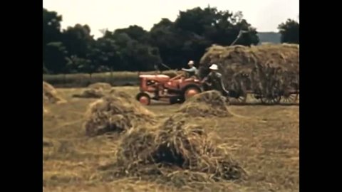 CIRCA 1950 - Grass farmers are advised on when and how to store their crops.