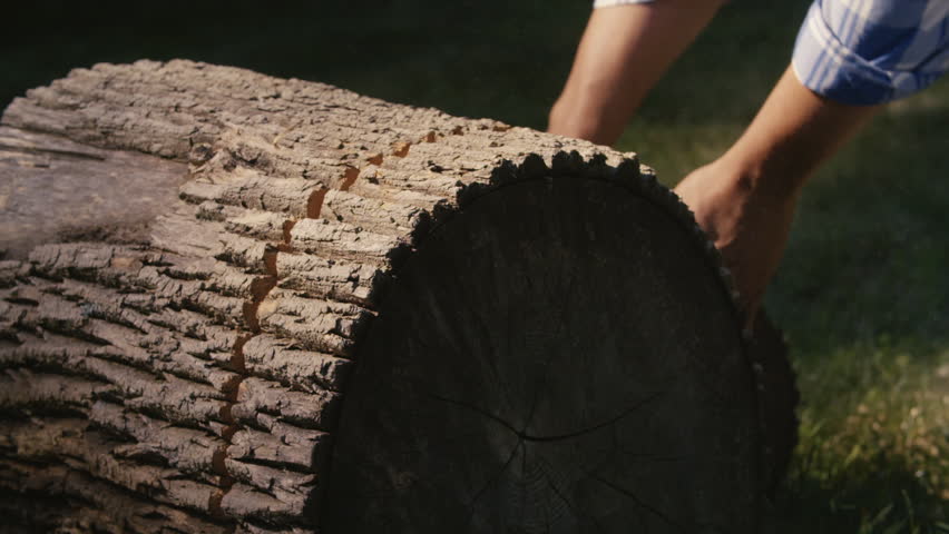 Logger handles and positions a thick log / piece of lumber