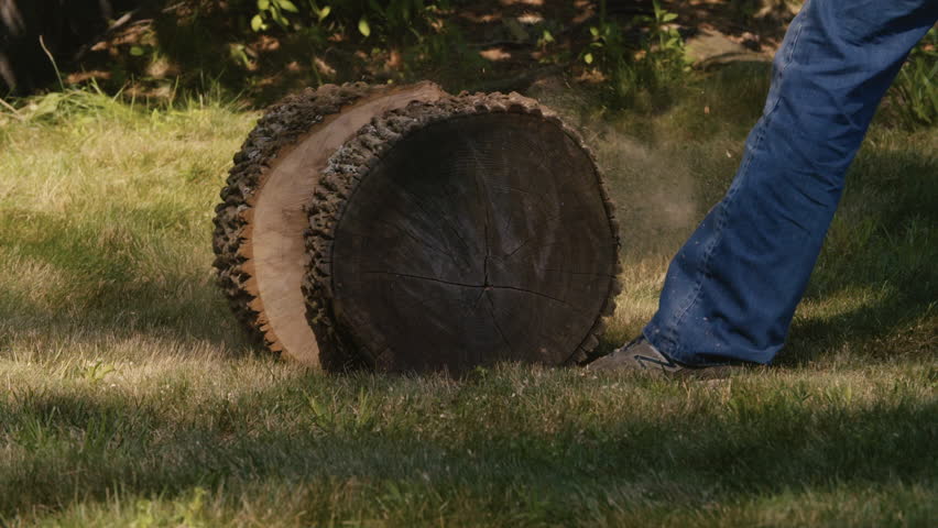 Two halves of a cut log slowly roll away opposite directions