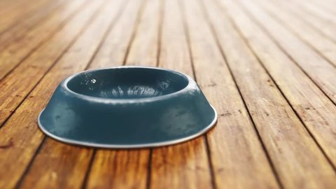doggy bowl with food animation on wooden floor 3d animation