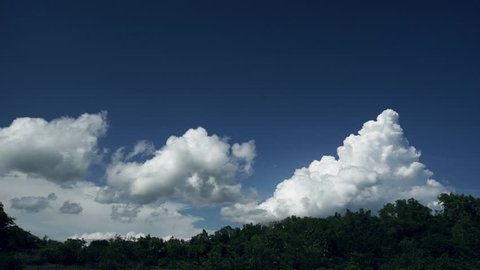 Rain forest with time lapse of clouds above
