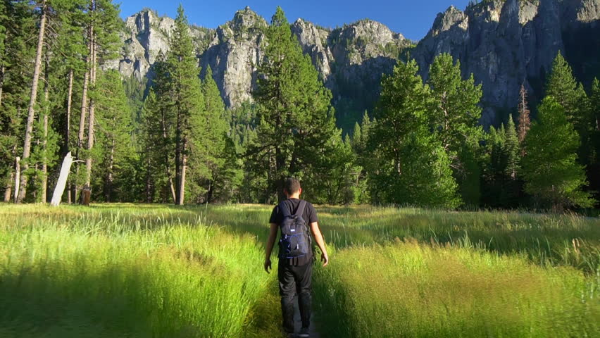 Traveler/Tourist walking by path in Yosemite National Park