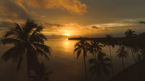 AERIAL: Golden evening sun shining on paradise island disappears behind the clouds and horizon. Spectacular view of tall palm trees, tranquil ocean water and breathtaking sunset in French Polynesia.