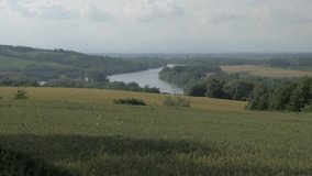 Wheat field moved by wind and a river in Monferrato Hills, Italy.