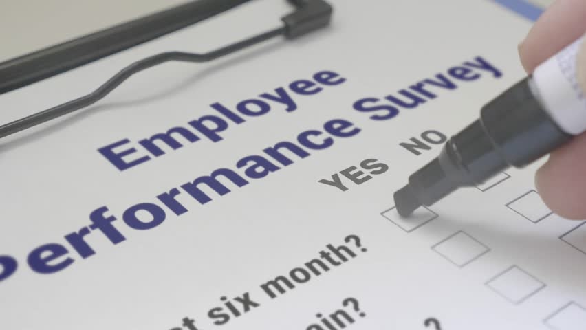 Employee Performance Survey