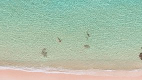 Tropical sandy beach with turquoise ocean water, aerial view