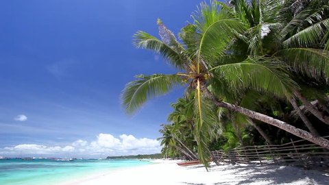Tropical sandy shore with coconut palm tree on Boracay island. Wild and uninhabited coast. Travel destinations