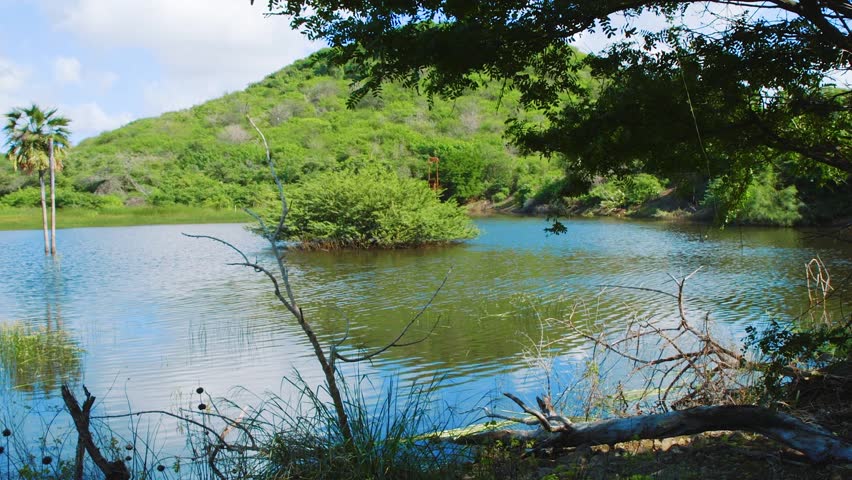 This is beautiful Curacao island landscape at Lago Disparse. Green plants and blue water with sunny summer sky are the real paradise.