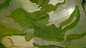 Landscape of terraced fields in the North Mu Cang Chai Plateau - Vietnam, during the water season, viewed from above unmanned aerial vehicles.
