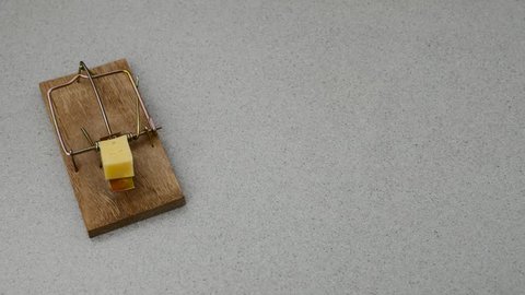 Peace of cheese in mouse trap
