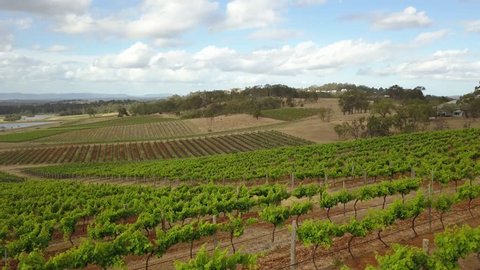 Aerial flyby of beautiful wine vineyards, Hunter Valley, Australia 4 of 4