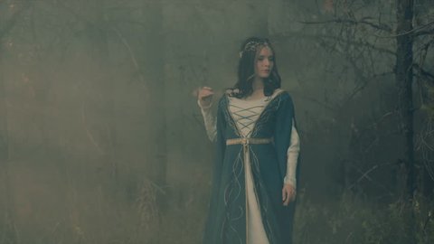 Lord rings characters Stock Video Footage - 4K and HD Video Clips