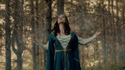 Lord rings characters Stock Video Footage - 4K and HD Video Clips