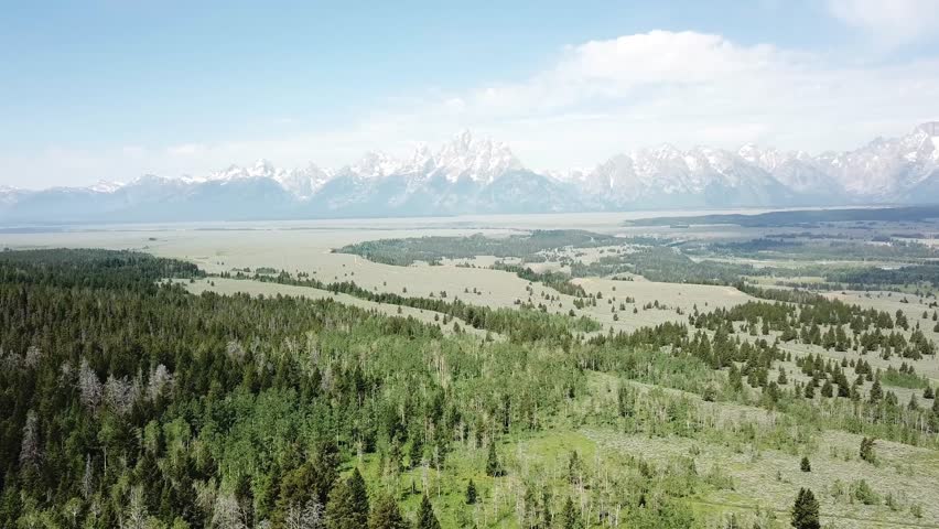 Teton forest summer mountain aerial landscape views