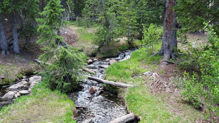 Peaceful, flowing mountain stream surrounded by pine trees, Bristlecone Pine Forest, Great Basin National Park, Baker, Nevada, United States
