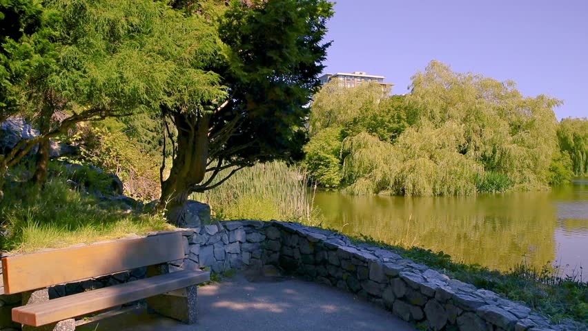 A man in a shirt approaches a bench in the park and sits down on it, gets up from the bench and leaves. In the background a pond with floating ducks, green trees, a multi-story building