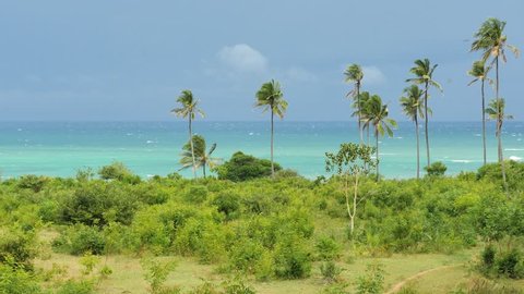 Tiwi Beach dreamscape with palms