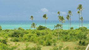 Tiwi Beach dreamscape with palms