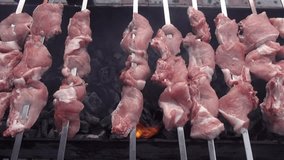 Shish kebab prepares on coals. Holidays video full hd