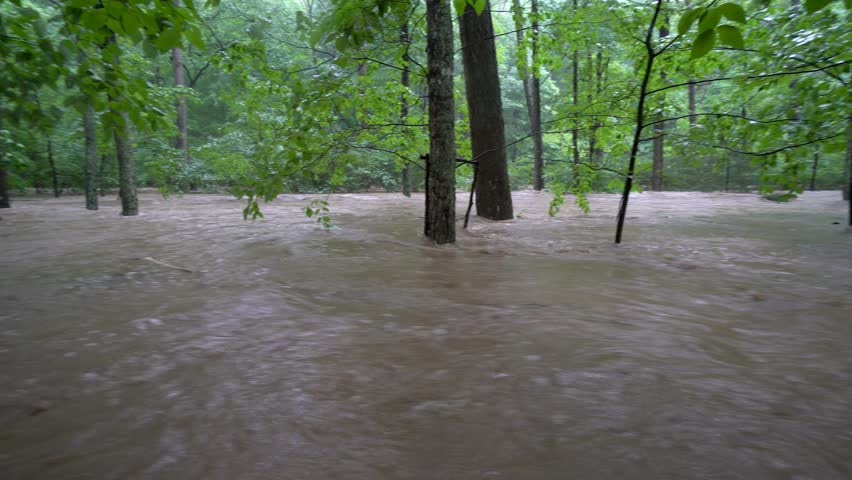 Deep muddy water rushing through a forest during flooding.