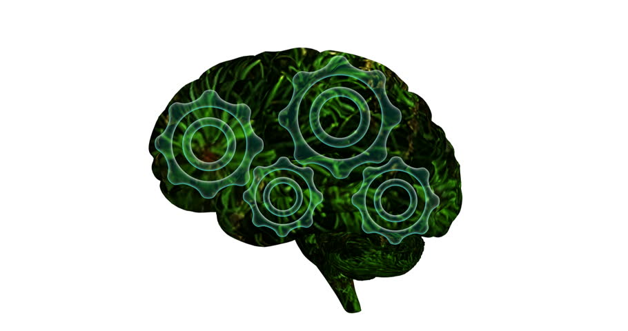 83 brain. Мозговой механизм на белом фоне. Flat rendering.