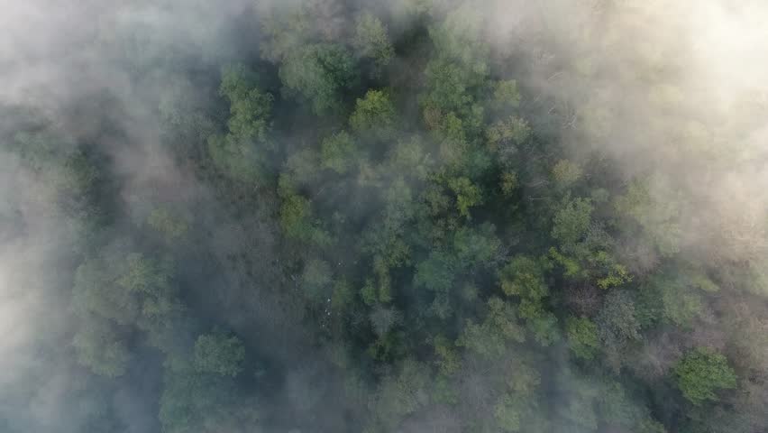 Mystic cloudy aerial view over a forest in Vercors france. Sunny morning.