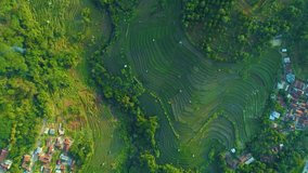 Aerial View of Rice Field Terrace, Village and River in the Sunrise, Bandung, West Java Indonesia, Asia