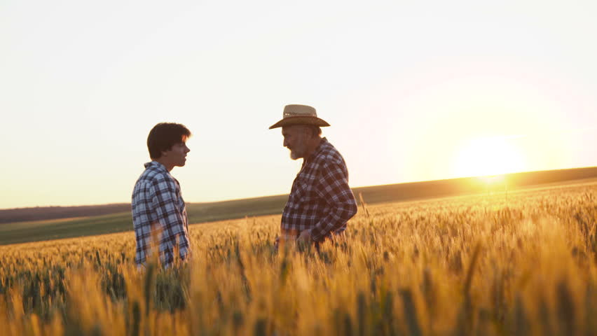 The handshaking between father and son in the golden wheat field on sunset. Inheritance. Old man gives the farming manage to his son. 4K Royalty-Free Stock Footage #1013744078