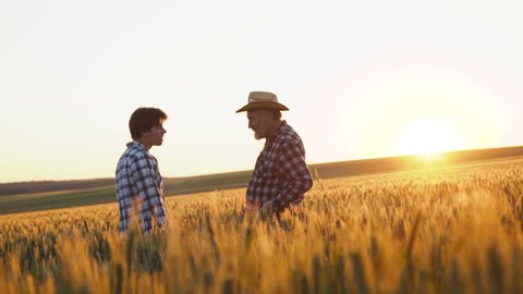 The handshaking between father and son in the golden wheat field on sunset. Inheritance. Old man gives the farming manage to his son. 4K