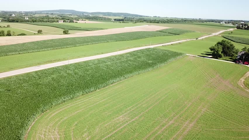 Tractor pulling load past field of wind swept corn, high aspect. Filmed on Wisconsin dairy farm near Mt Horeb.
