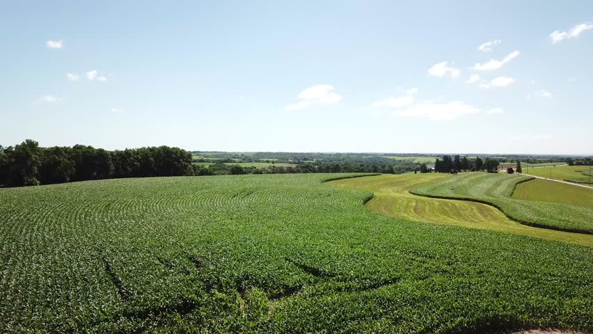 Corn and hay feed crops on mid-west family farm 4. Filmed on Wisconsin dairy farm near Mt Horeb.