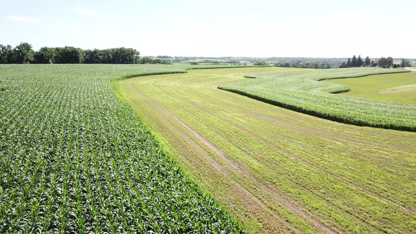 Corn and hay feed crops on mid-west family farm 3. Filmed on Wisconsin dairy farm near Mt Horeb.
