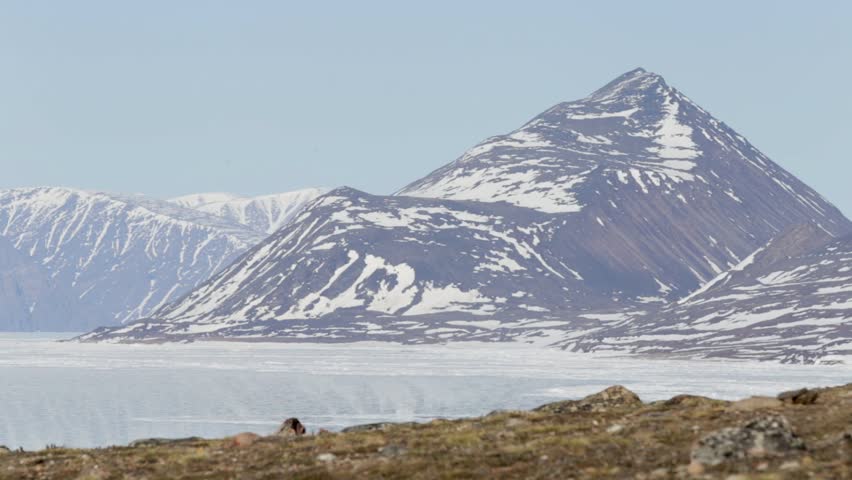 Kids playing in the Streets of Pond Inlet, Nunavut