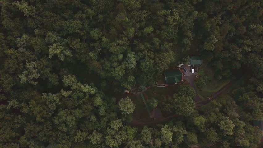 Aerial shot looking straight down at trees and a log cabin.