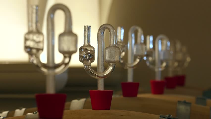 Fermentation process of wine in winery, Saarburg, Saar Valley, Rhineland-Palatinate, Germany, Europe