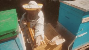 the beekeeper working in the apiary bees fly swarm multi colored beehive slow motion video. bee-maker beekeeper man working of a smoke pipe beeper wooden hives smoker device lifestyle for repelling