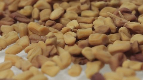Close up of methi grains on turntable. Macro footage of rotating fenugreek seeds.
