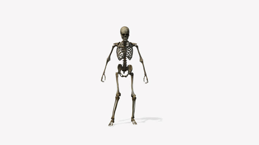 walking skeleton animation alpha channel Stock Footage Video (100% ...