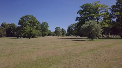 Reverse drone footage across a field & through trees.