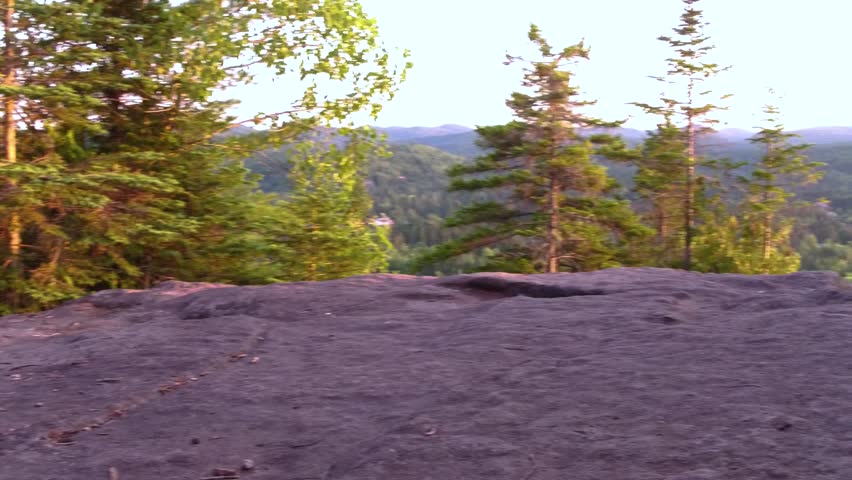 Alaskan Husky dog getting up and walking away on a mountain top with the horizon and the sunset in the background - Panning right