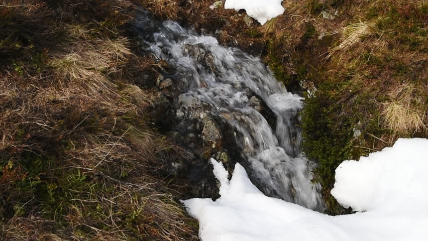 Водопад Кивач зимой. Кивач зимой. Дендрарий Кивач. Карельская береза в заповеднике Кивач.