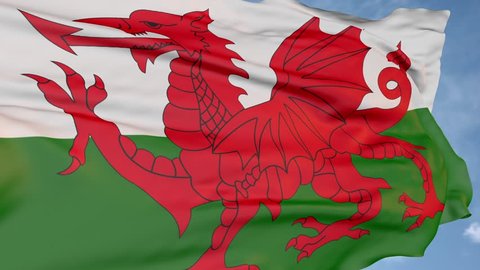Red dragon Flag Of Wales. state symbol logo