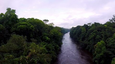 River in the rain-forest. Camera moving down to the river. Equatorial Guinea jungle.
