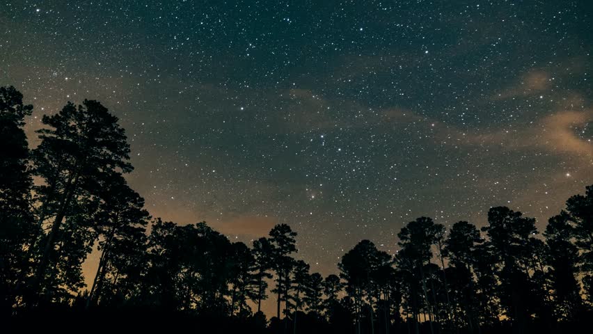 Stunning timelapse of Milky Way over a forest in Macon, MS