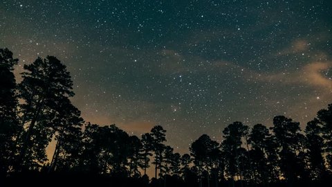 Stunning timelapse of Milky Way over a forest in Macon, MS - Βίντεο στοκ