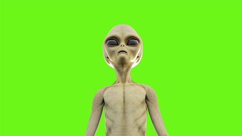 Scary Gray Alien Stands And Stock Footage Video 100 Royalty Free 1054705973 Shutterstock - dancing gray alien song roblox id