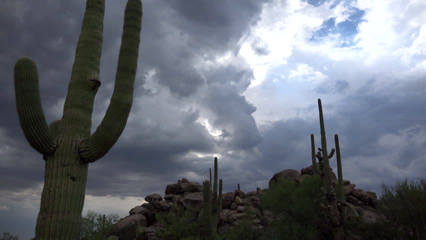Time Lapse, Dark storm clouds swallow blue sky in dramatic Arizona desert cactus landscape time lapse. 4K 3840x2160

