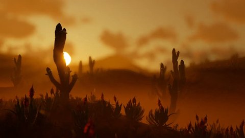 Saguaro Cactus in Desert against beautiful Morning Sun, pan and zoom out